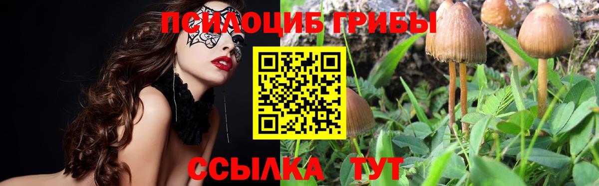 Балтийск  Псилоцибиновые грибы Magic Shrooms  Вход с VPN 